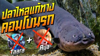 Rov: Kil’groth ปลาไหลแก้ทางคอมโบนรก Taara+Aya ไล่หวดยับ!!!