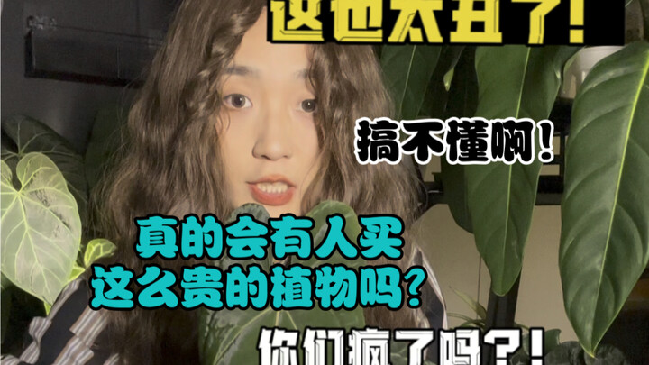 真的会有人买这么贵的植物吗？！！