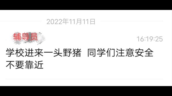 【มหาวิทยาลัยครูเจียงซี】«อย่าตามวิ่งเด็ดขาด»
