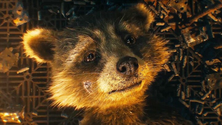 Why is Rocket Raccoon called "Rocket"? A new clip from Marvel's "Guardians of the Galaxy Vol. 3" rev