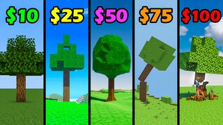 minecraft for 10$ vs 25$ vs 50$ vs 75$ vs 100$