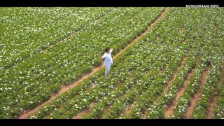 THE POTATO LAB (SUB INDO) EP1