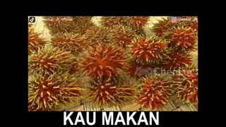 meme upin ipin