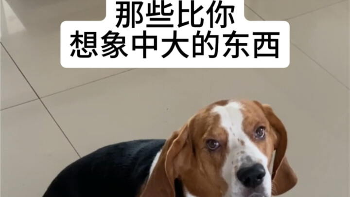 Peringatan bagi yang penakut: Jangan bilang aku nggak kasih tahu!