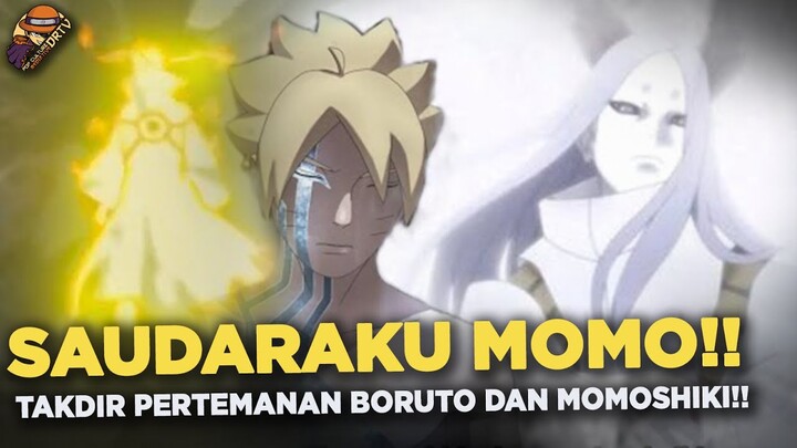 MOMOSHIKI THE NEXT KURAMA ? INI ALASANYA