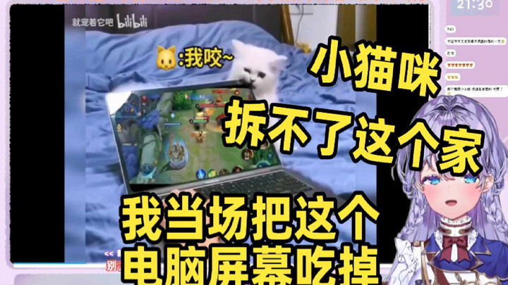 日本萌妹看《这个家我拆定了》当场绷不住