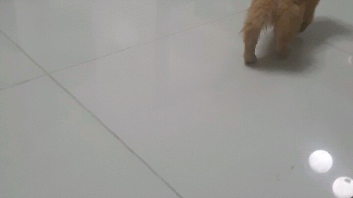 Titan runnin tho😂