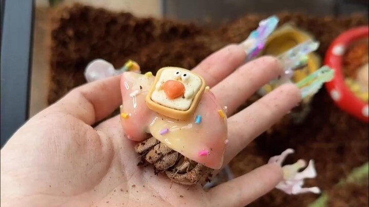 Terima Kasih, Kepiting!