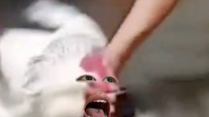 你噶哈呀