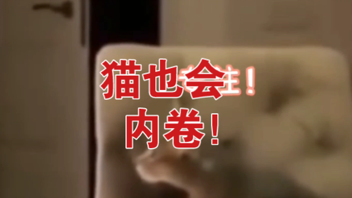 [Silly Log] 27: Oh no, even the cat taking online classes is more focused than I am!