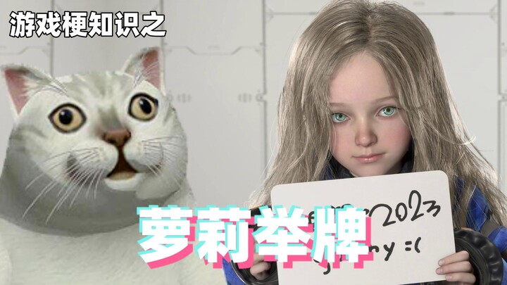 Game meme knowledge: Loli holding a sign