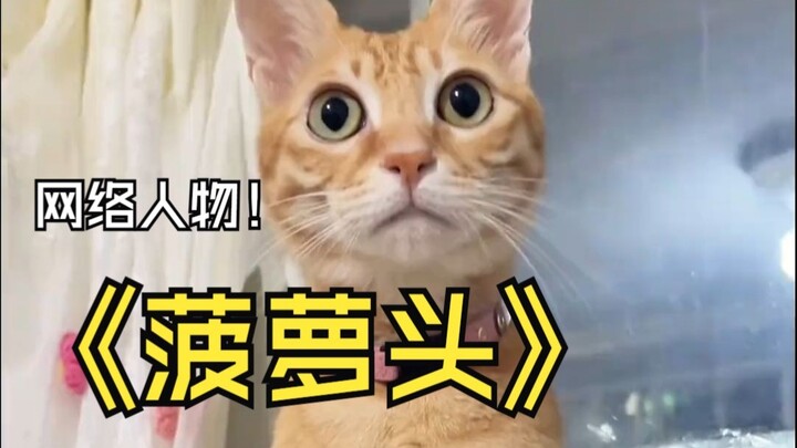 Nhân vật mạng kỳ 60: “Đầu Dứa”