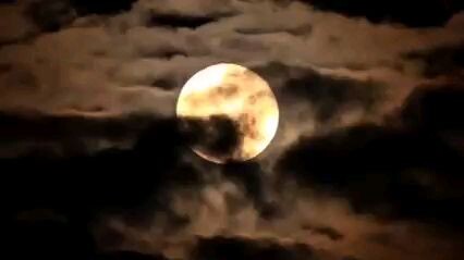 for moon lover-