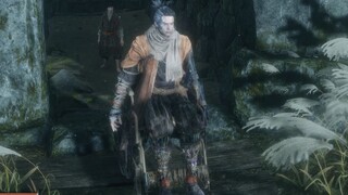 【Sekiro mod】A wolf in a wheelchair after paralysis of the lower limbs