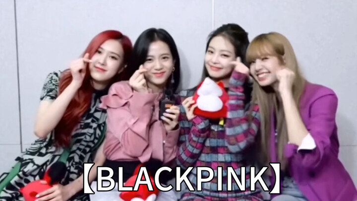[BLACKPINK] This is how you define privity