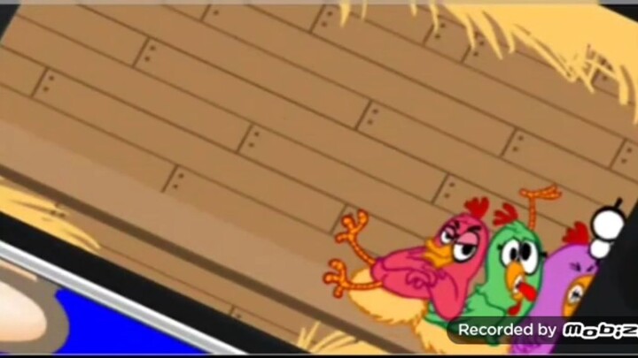 poCHICKENpo poCHICKENpo poCHICKENpo poCHICKENpo poCHICKENpo poCHICKENpo poCHICKENpo poCHICKENpo
