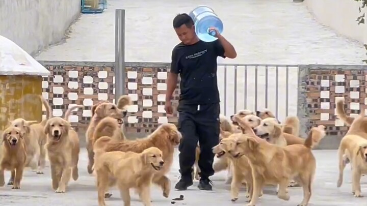 你们的王回来了