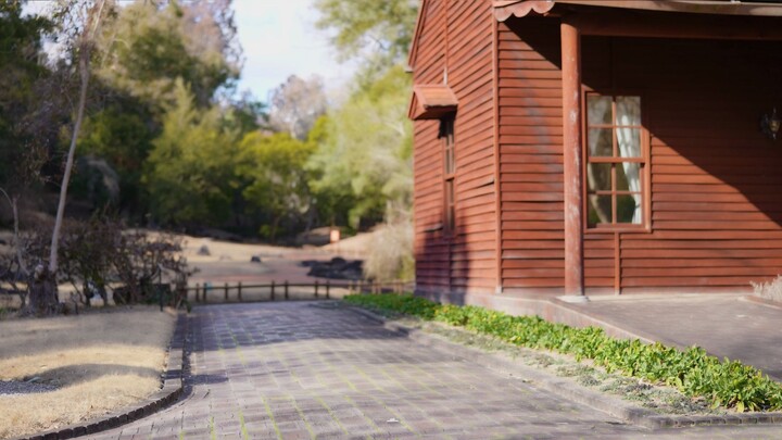 【Zu Tai Penta】 Kata Cinta V [Koreografi Original]