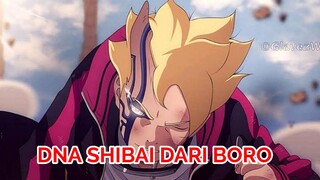 BORUTO MEMILIKI DNA SHIBAI DARI BORO | menjelang Manga Boruto Blue Vortex 15