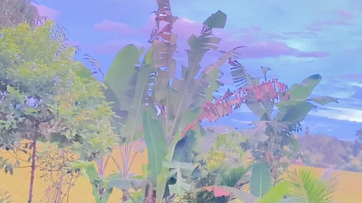 如今阿肯可东东