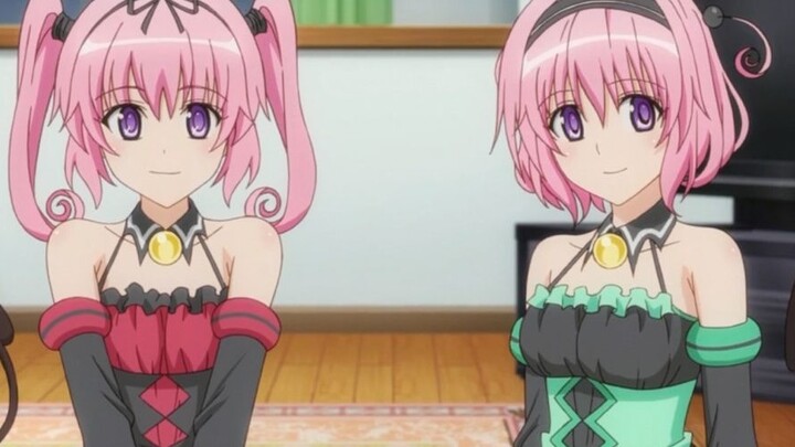 The super cute twin sisters in the anime, I can't tell the difference at all