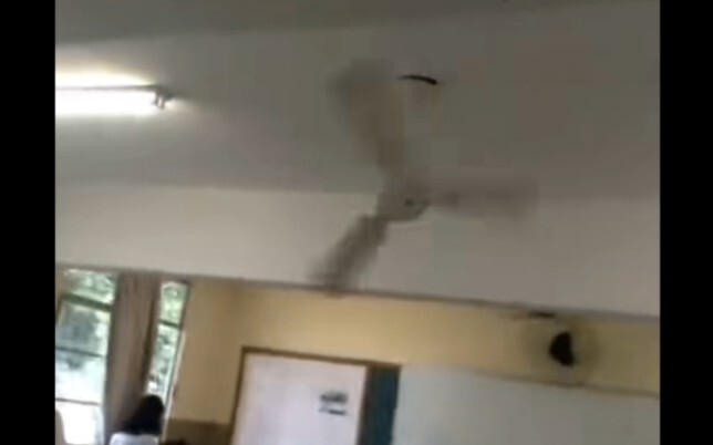 Kipas Langit-Langit: Biar aku pikir dulu siapa yang harus kubunuh duluan... ya, kamu saja.