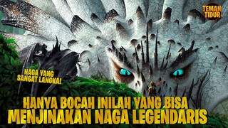 KEMAMPUAN SPESIAL UNTUK MENJINAKAN SEMUA NAGA!! - Alur Cerita "HOW TO TRAIN YOUR DRAGON 1"