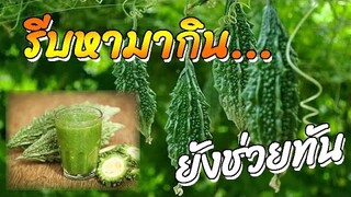 เช็คอาการ...ใครมีอาการนี้?  รีบหา"มะระขี้นก"มากิน ยังช่วยได้
