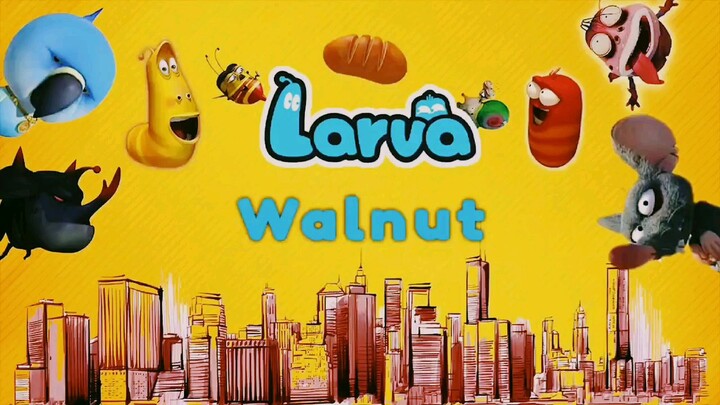 larva. walnut
