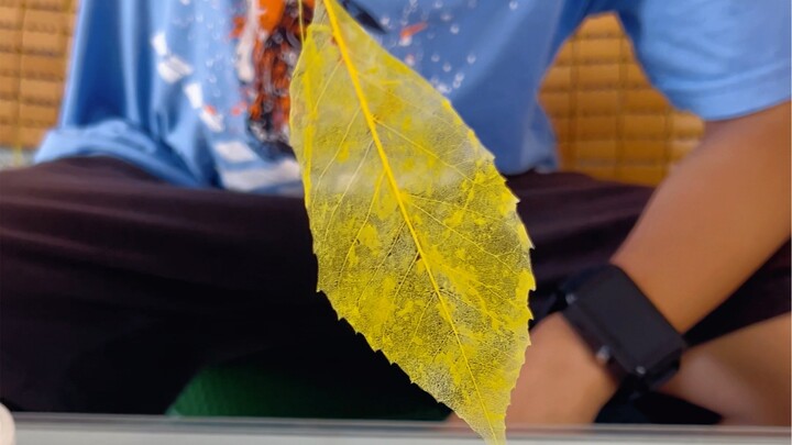 The leaf-vein bookmarks my kid made look pretty good, don’t you think?