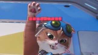 ✋🐱