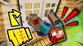 把玩家的门全部换成图片做的假门会发生什么！