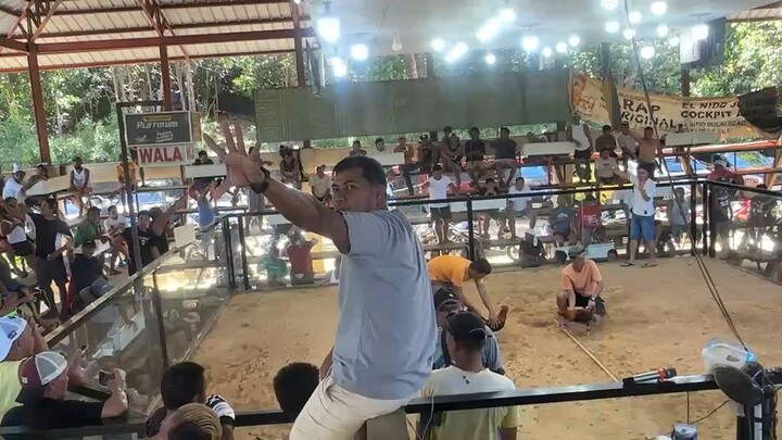 super lemon 2x winner@ el nido