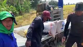 Máy Cộ Lúa l Máy Kéo Lúa l Máy Gặt Đập Liên Hợp