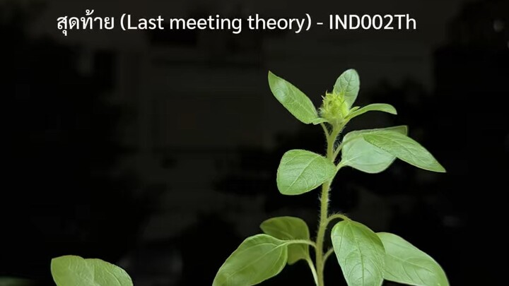 สุดท้าย (Last meeting theory) - IND002Th