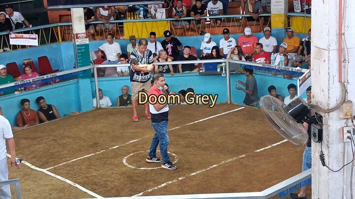 Doom gray, Champion sa lipa arena.