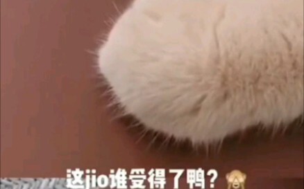 Đôi chân nhỏ này ai mà cưỡng lại nổi chứ