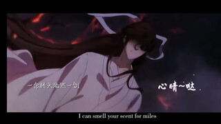 【天官赐福】温柔吧？打架从未输过