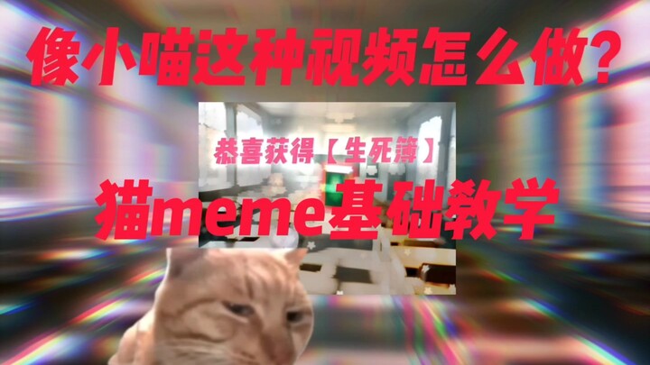 像混混喵的这种视频怎么做？ ——猫meme基础教学