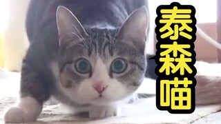 Biar kuperiksa ada masalah apa