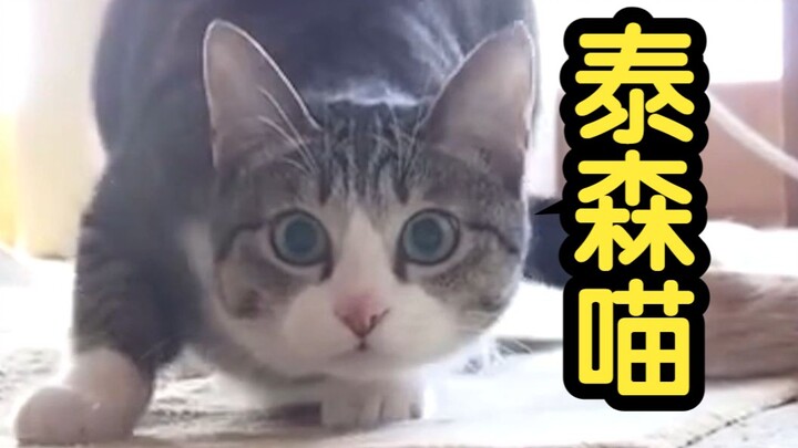 我看看怎么个事