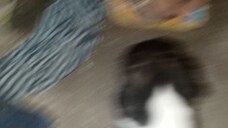 Hirap kapag maliit talaga haha 😂