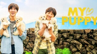 My Heart Puppy (2022)Comedy