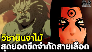 NARUTO - วิชานินจาไม้ สุดยอดขีดจำกัดทางสายเลือด ไร้เทียมทาน [KOMNA CHANNEL]