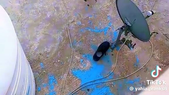 Amazing funny videos collection