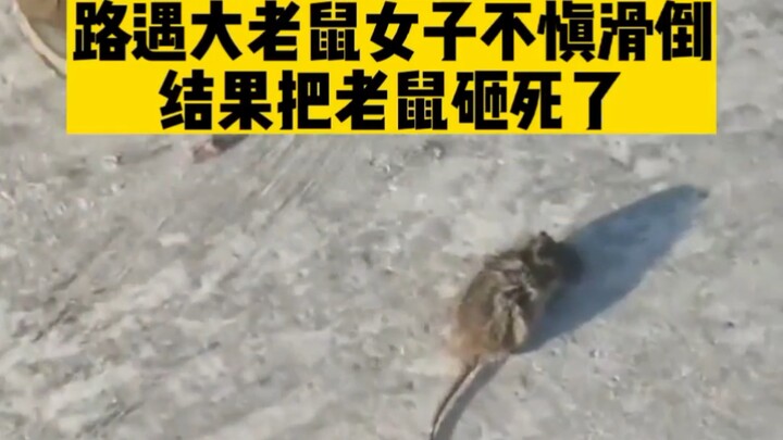 «Lạc Thất Thử Phiến»