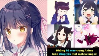 Ảnh Chế Anime #251 Anh Hùng Này Vip Thế