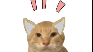 【Gadis Kucing Tua】Nyanyanyanyanyanyan