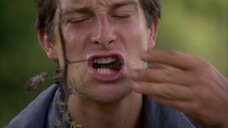 Man.vs.Wild.S03E11.Bears.Ultimate.Survival.Guide.Part.One.1080p.WEB-DL.Hind