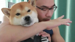 4 kỹ thuật siết cổ từ phía sau! Tu Hưu đều là đai xanh.